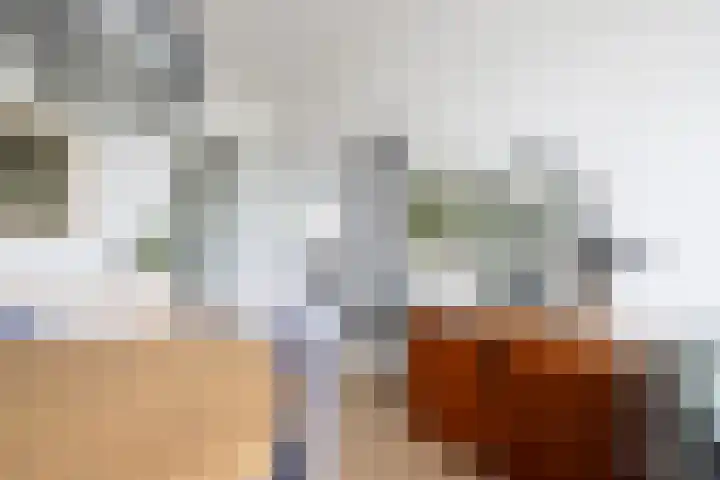 Van Alkemadehof 59 Rotterdam thumbnail 13