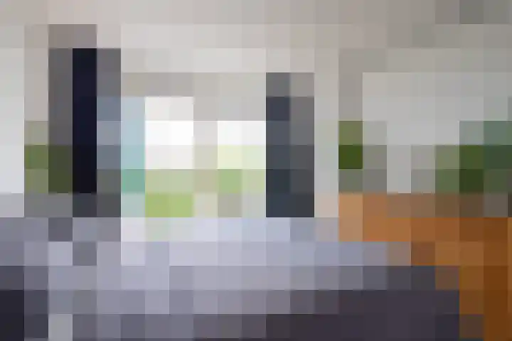 Van Alkemadehof 59 Rotterdam thumbnail 20