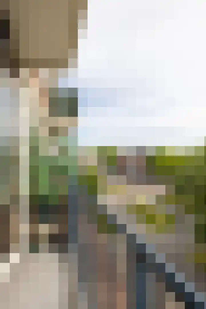 Van Alkemadehof 59 Rotterdam thumbnail 21