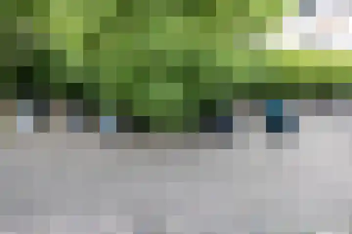 Van Alkemadehof 59 Rotterdam thumbnail 33