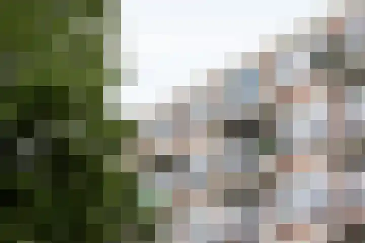 Van Alkemadehof 59 Rotterdam thumbnail 36