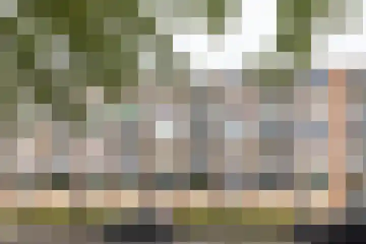Van Alkemadehof 59 Rotterdam thumbnail 37