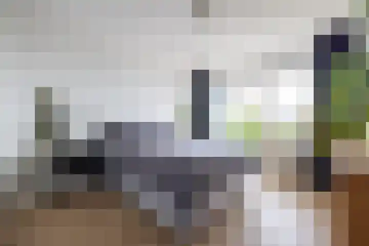 Van Alkemadehof 59 Rotterdam thumbnail 4