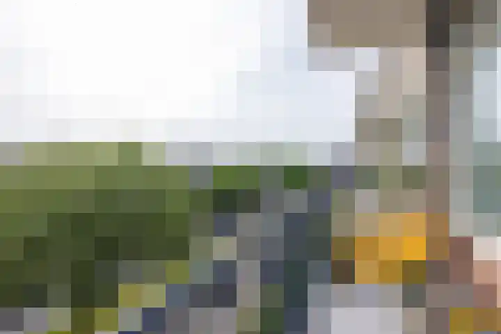 Van Alkemadehof 59 Rotterdam thumbnail 5