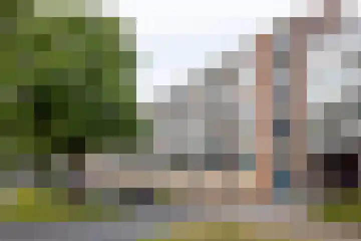Van Alkemadehof 59 Rotterdam thumbnail 6