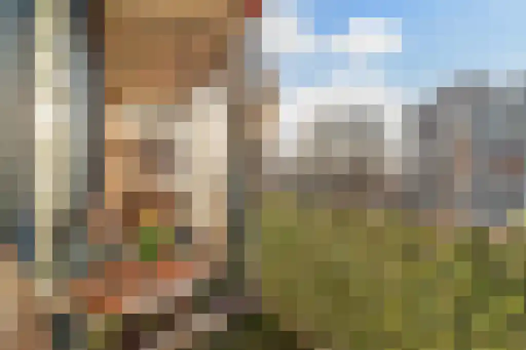 Van Alkemadelaan 1016 Den Haag thumbnail 15