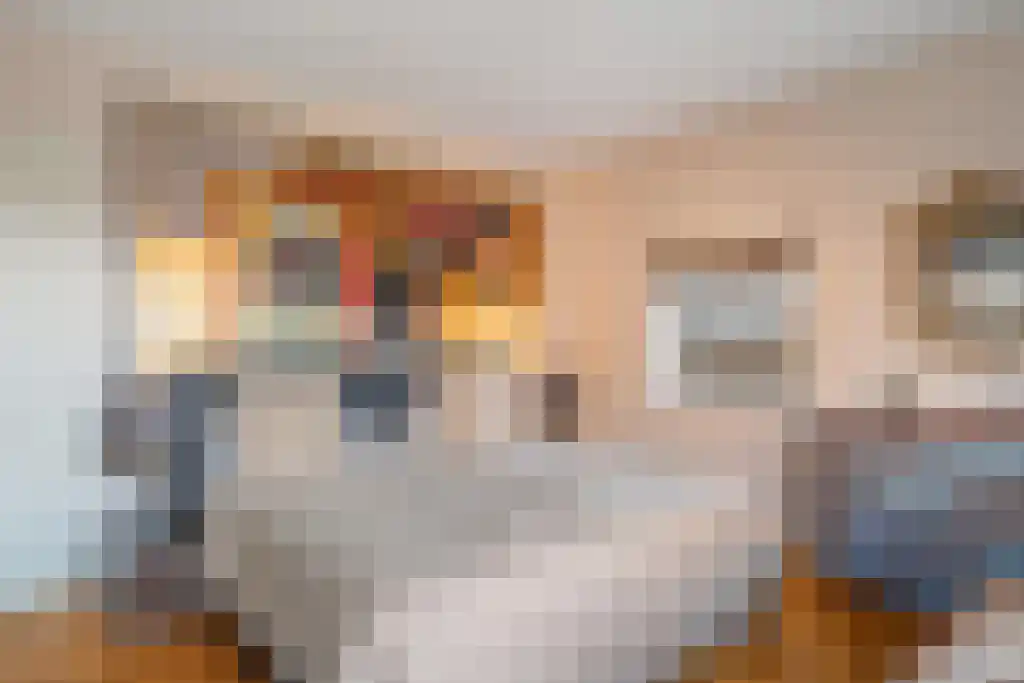 Van Alkemadelaan 1016 Den Haag thumbnail 19