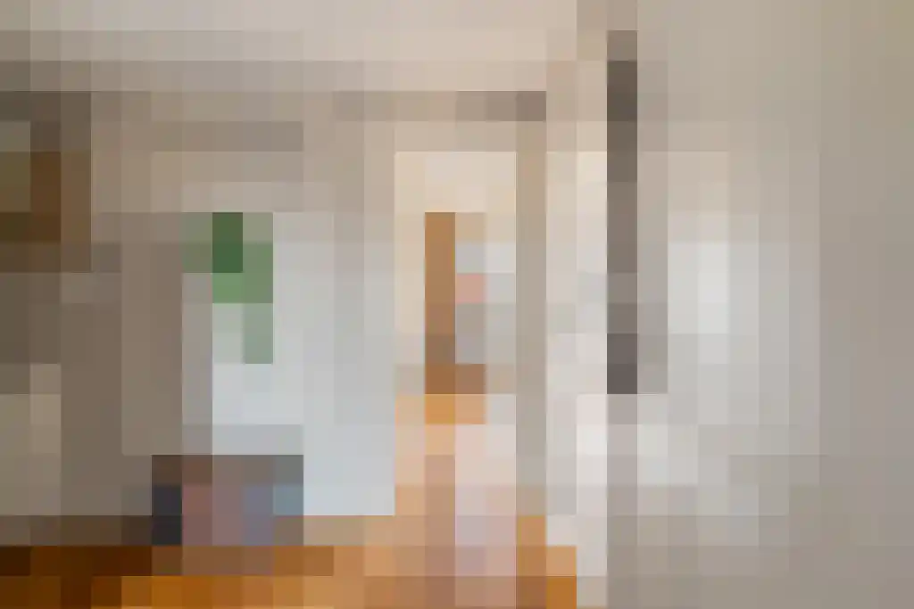 Van Alkemadelaan 1016 Den Haag thumbnail 5