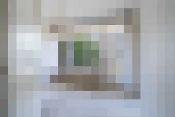 Van Alkemadelaan 1040 Den Haag thumbnail 10