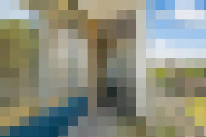 Van Alkemadelaan 1040 Den Haag thumbnail 43