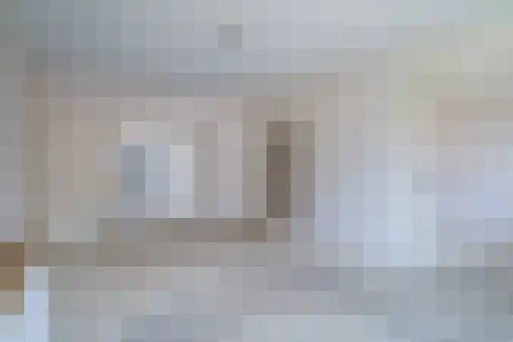 Van Alkemadelaan 1040 Den Haag thumbnail 5