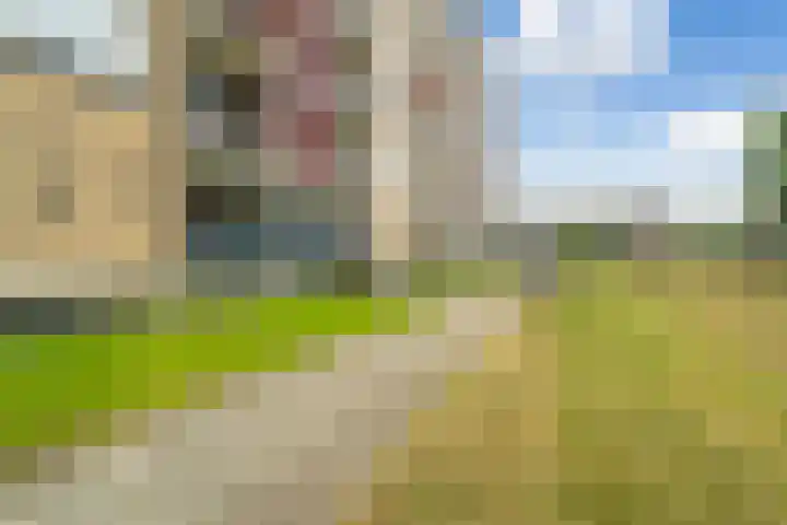 Van Alkemadelaan 1040 Den Haag thumbnail 52