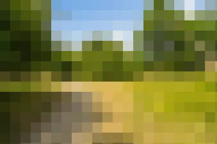 Van Alkemadelaan 1040 Den Haag thumbnail 53
