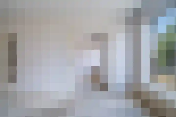 Van Alkemadelaan 1040 Den Haag thumbnail 7