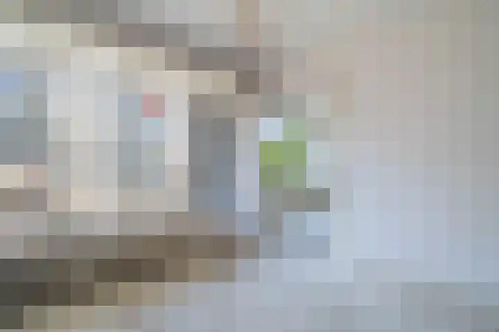 Van Alkemadelaan 1040 Den Haag thumbnail 9