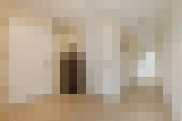 Van Alkemadelaan 109 Den Haag thumbnail 17