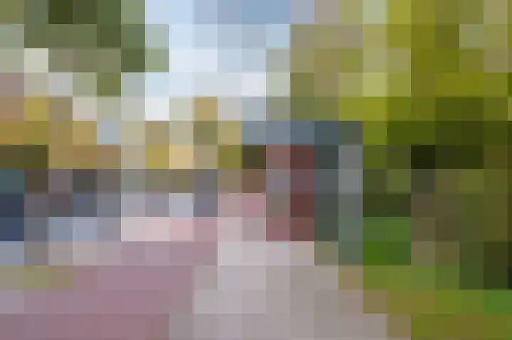 Van Alkemadelaan 109 Den Haag thumbnail 42