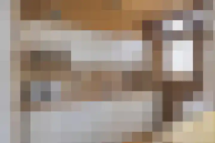 van Alkemadelaan 11 Brielle thumbnail 10