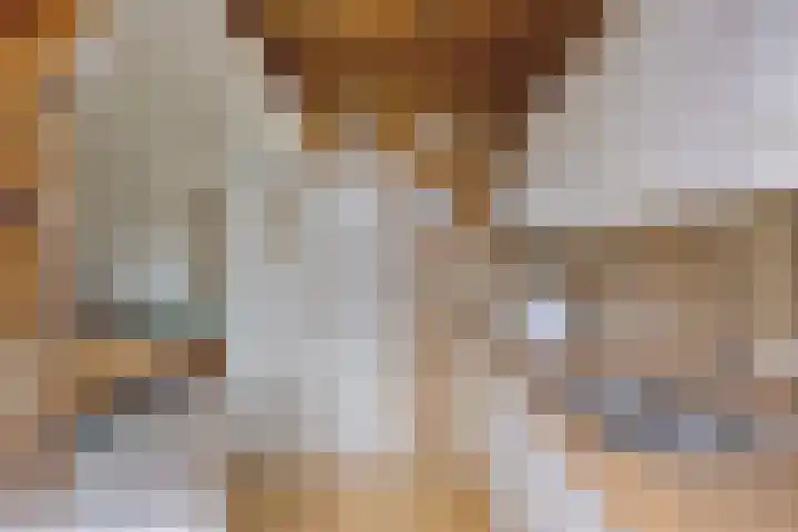 van Alkemadelaan 11 Brielle thumbnail 11