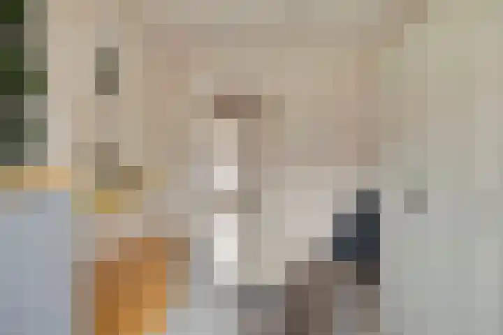 van Alkemadelaan 11 Brielle thumbnail 16