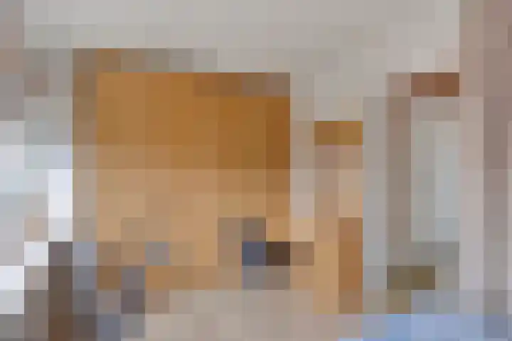 van Alkemadelaan 11 Brielle thumbnail 21