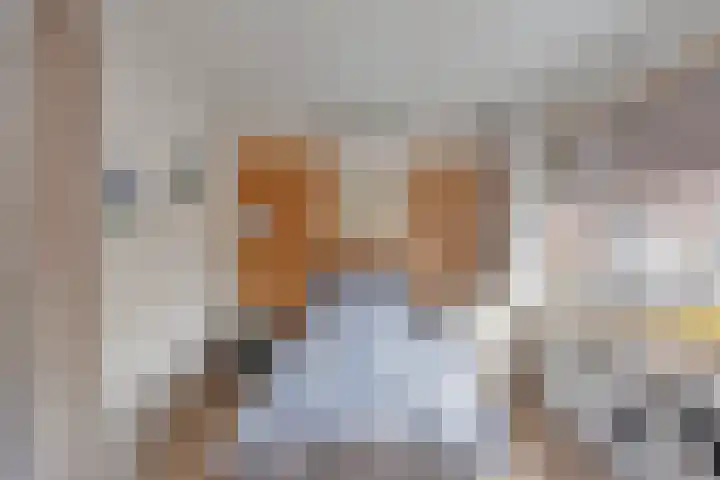 van Alkemadelaan 11 Brielle thumbnail 22