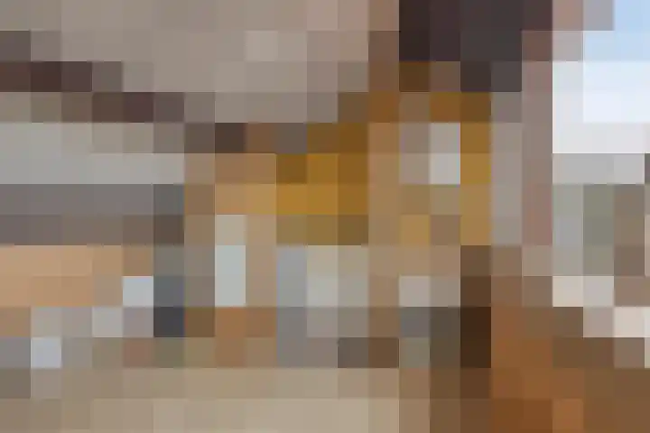 van Alkemadelaan 11 Brielle thumbnail 25