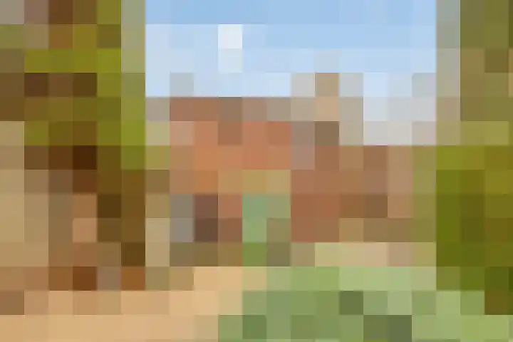 van Alkemadelaan 11 Brielle thumbnail 27
