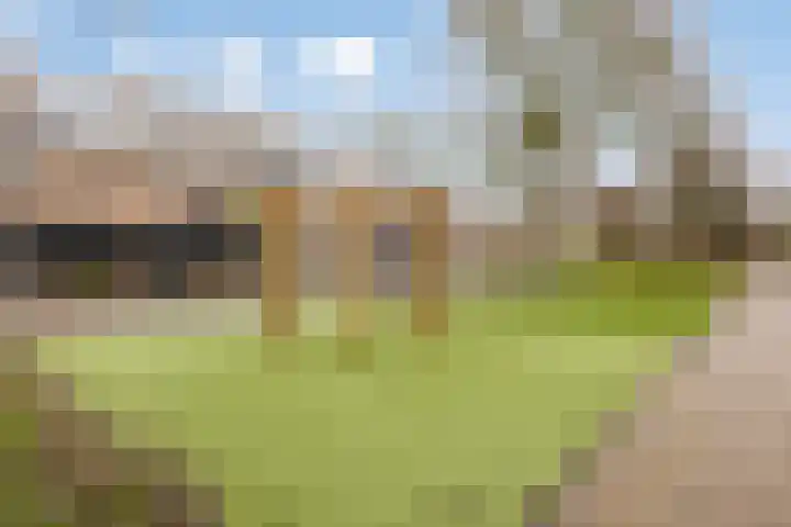 van Alkemadelaan 11 Brielle thumbnail 29