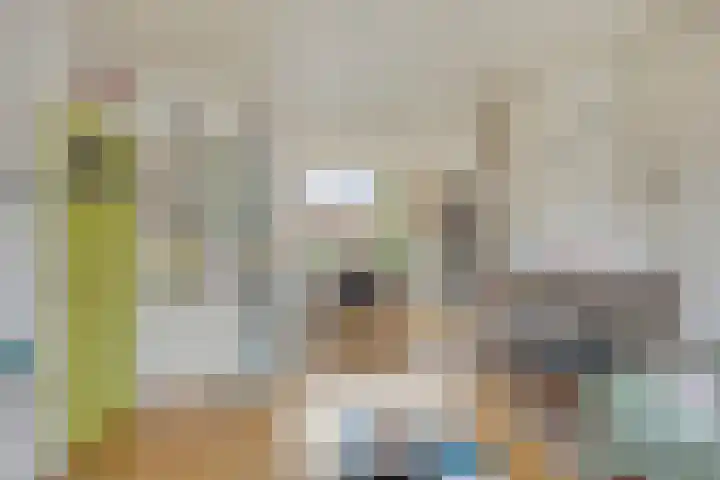 van Alkemadelaan 11 Brielle thumbnail 6
