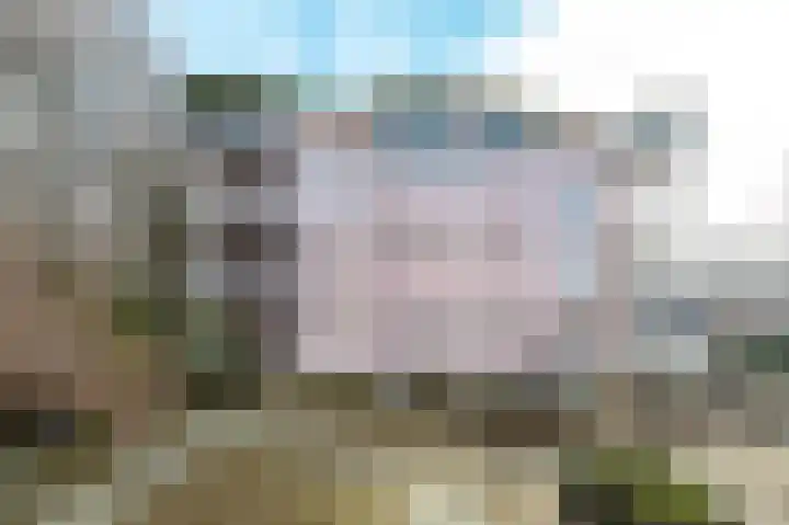 Van Alkemadelaan 115 Den Haag thumbnail 33