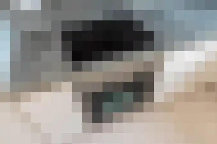 Van Alkemadelaan 115 Den Haag thumbnail 37