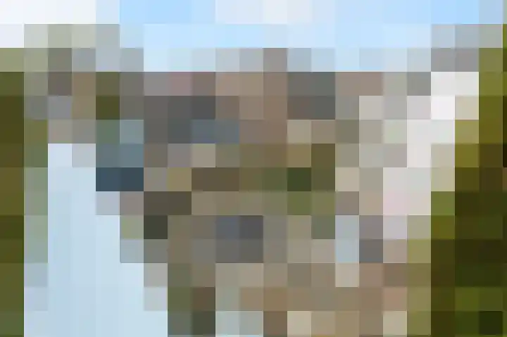 Van Alkemadelaan 115 Den Haag thumbnail 53