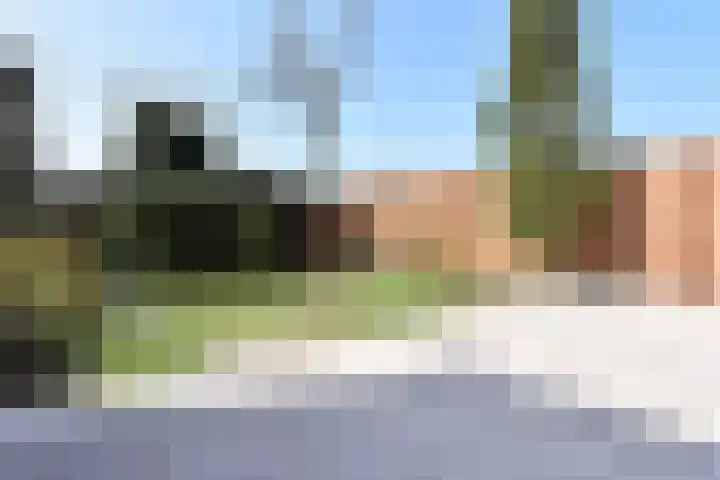 Van Alkemadelaan 116 Den Haag thumbnail 11