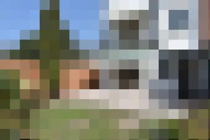 Van Alkemadelaan 116 Den Haag thumbnail 13