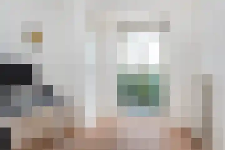 Van Alkemadelaan 116 Den Haag thumbnail 31