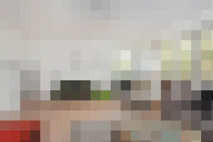 Van Alkemadelaan 116 Den Haag thumbnail 33