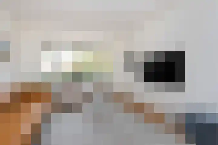 Van Alkemadelaan 116 Den Haag thumbnail 4