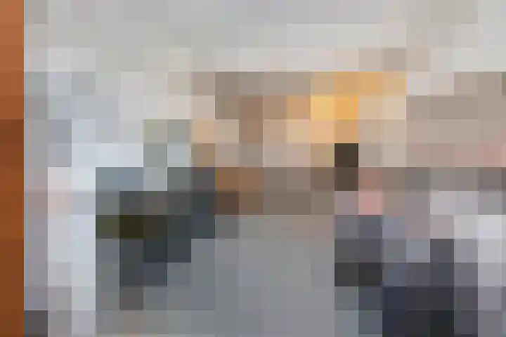 Van Alkemadelaan 116 Den Haag thumbnail 43