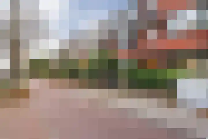 Van Alkemadelaan 116 Den Haag thumbnail 46