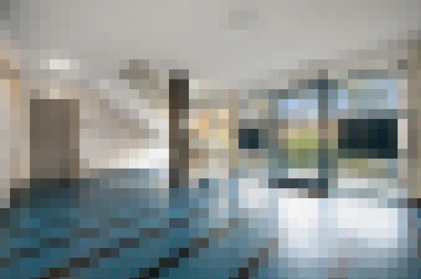 Van Alkemadelaan 1162 Den Haag thumbnail 8