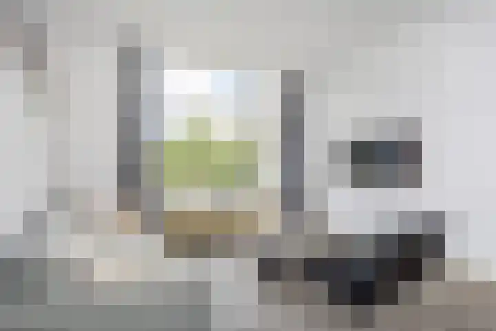Van Alkemadelaan 1188 Den Haag thumbnail 10