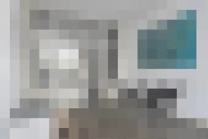 Van Alkemadelaan 1188 Den Haag thumbnail 11