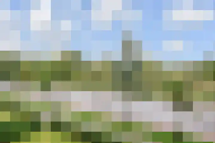 Van Alkemadelaan 1188 Den Haag thumbnail 17