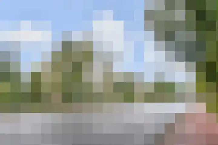Van Alkemadelaan 1188 Den Haag thumbnail 34