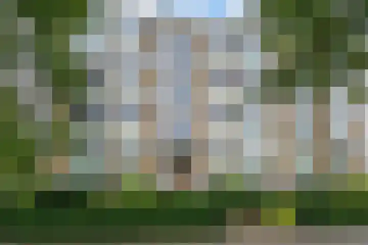 Van Alkemadelaan 1188 Den Haag thumbnail 37