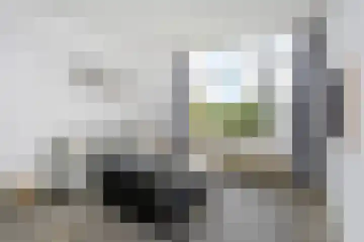 Van Alkemadelaan 1188 Den Haag thumbnail 7
