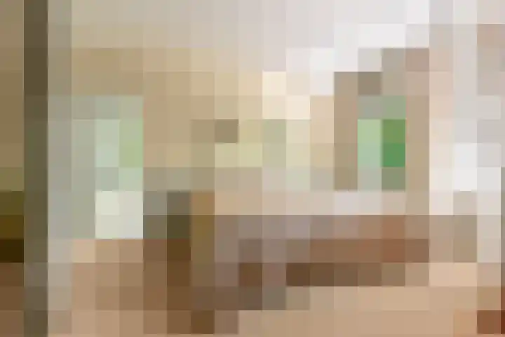Van Alkemadelaan 119 Den Haag thumbnail 19