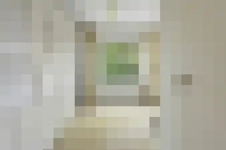 Van Alkemadelaan 119 Den Haag thumbnail 22