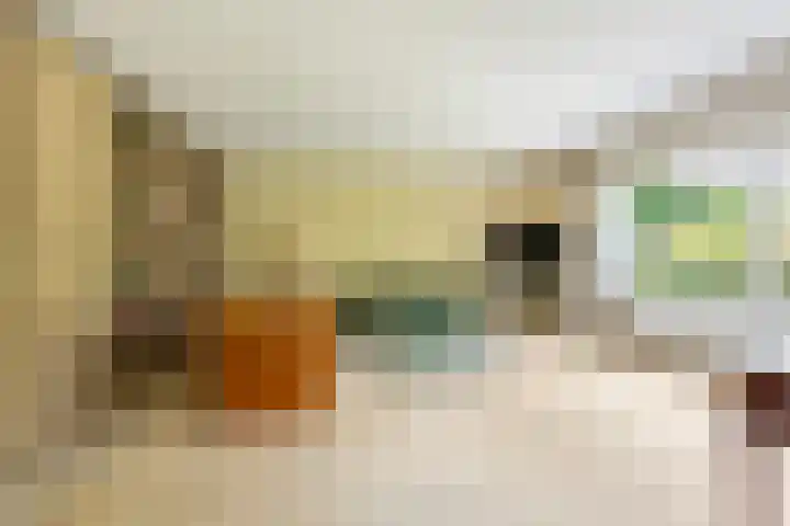 Van Alkemadelaan 119 Den Haag thumbnail 4